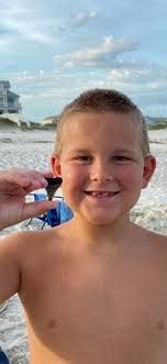 Gulf State Park visitor finds a fossilized Great White Shark Tooth