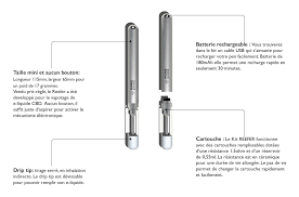 FAQ: All about the Reefer vape pen