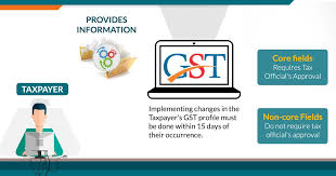When you click 'continue' your password will be changed. Amendment Process In Gst Registration Step By Step Guide Sag Infotech