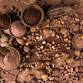 A Taste of a Career: Chocolate Craft Workshop event in Lake Forest Park, WA