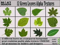 Find images of leaf texture. Second Life Marketplace Ro Act Designs 12 Green Leaves Alpha Textures