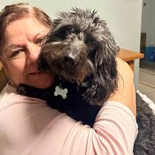 Happy Tails Alumns — Toby's Rescue Finding Homes for Sato Dogs