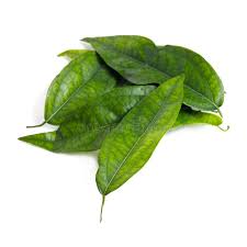 Image result for Tiliacora