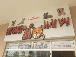 Pet dog market near me. Pet Mania Pet Food Accessories Stores In Warsan 3 Dubai
