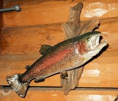 Rainbow trout skin mount on driftwood base for wall. Taxidermy Tuesday A Very Intricate Rainbow Trout But Not A Replica Collectors Weekly