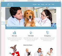 Pet kare clinic is a full service small animal veterinary hospital serving the yampa valley for over 25 years. Best Veterinary Wordpress Themes Webful Creations