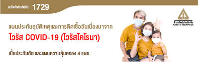 ข้อมูลเพิ่มเติม สินทรัพย์ประกันภัย สินมั่นคงประกันภัย 1,000,000 สิทธิ์ Assets Insurance