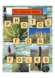 Especially for kids discover the desert online kid activities at the museum junior docents events and camps. Sonoran Desert Worksheets Teaching Resources Tpt