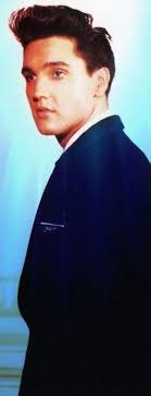 Samara Stephens (samarastephens)