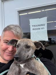 Lost dog found in Creek Road area