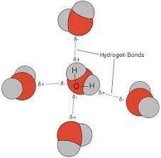 Bonding - Hydrogen Bonding In Water (A-Level Chemistry) - Study Mind