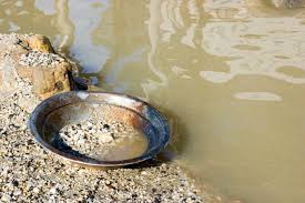 7 Best Gold Panning Kits In 2020 Multiple Budgets