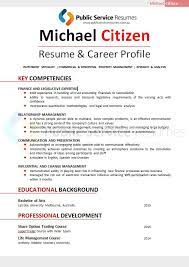 Government Executive Resume Writing Service Public Service Resumes