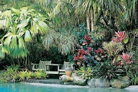 What To Plant Around A Pool Australian Handyman Magazine Having your pool inspected, getting any necessary repairs done, and obtaining a pool safety certificate can be expensive.