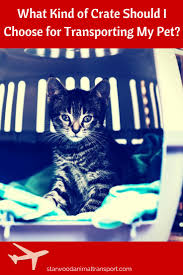 Has been an industry leader in shipping dogs by air for 23 years, and they also transport cats, birds, etc. What Types Of Crates Are Best To Ship My Dog Or Cat In