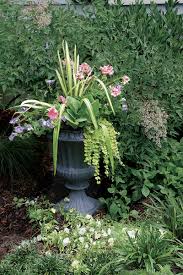 The climbing plants in pots can bring a real touch of nature to any place, and they are a good way to add some privacy, too. 10 Plants For Year Round Containers Finegardening
