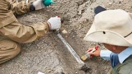 Ask an Archeologist! @ Western Carteret Branch Library