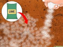 Take into consideration the real estate. How To Acidify Soil 14 Steps With Pictures Wikihow