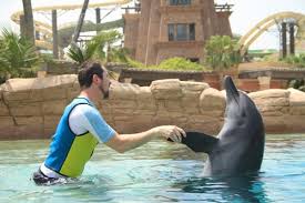 Image result for dubai tourism places