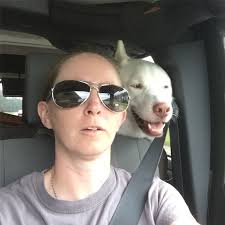 Tom Sorrells Email & Phone Number