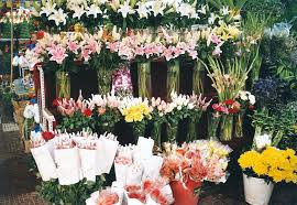 Online Flower Shops The Best Way To Express Your Feelings Despite Staying At A Distant Place Online Flower Shop Flowers Delivered Online Florist