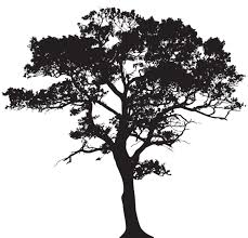 African trees silhouette drawing, tree silhouette, leaf, branch, monochrome png. Tree Clipart Black And White Transparent Novocom Top