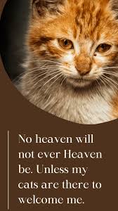 Let them know you are there for them. Sympathy Quotes Sayings For Loss Of Pet