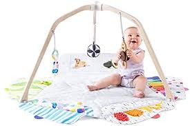 Amazon Com The Play Gym By Lovevery Stage Based Developmental Activity Gym Play Mat For Baby To Toddler Baby
