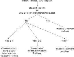 Risk Stratification Flow Diagram For Non St Elevation