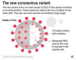 Here's why the coronavirus mutates, why some variants are more problematic than others and what from escape mutations to wild strains: What Are The New Covid 19 Variants And How Can We Track Them Ieee Spectrum