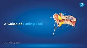 Image result for Tuning Fork Test