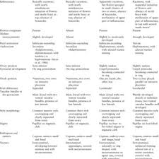 Image result for Bersama yangambiensis