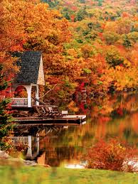 Image result for Autumn Gold Dark 1977 Caloric