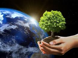 Día de la Tierra 2025: fecha, origen y 5 acciones cotidianas para proteger  el medio ambiente