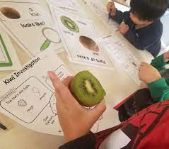 Here are 50 activities for toddlers that work well inside. Preschool Fruit Science Investigation Preschool Activity Preschool Activities Preschool Lesson Plans