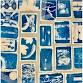 Intro to Cyanotype