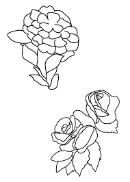Four different colours roses with green leaves. Flower Coloring Pages