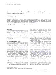 Image result for Pachylobus osika