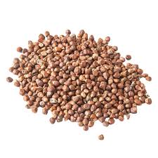 Image result for Aframomum mala