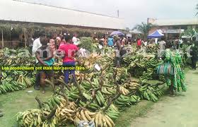 Cameroun Cameroun Agriculture La Localite De Pouma Dans La Region Du Littoral Du Cameroun Va Accueillir Une Unite De Transformation De La Banane Plantain