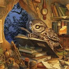 A Wise Old Owl By Chris Dunn Animal Illustration Whimsical Art Owl