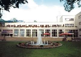 We did not find results for: Recenzie Hotel VeÄ¾ka Fatra Kupele Rajecke Teplice Sorger Sk