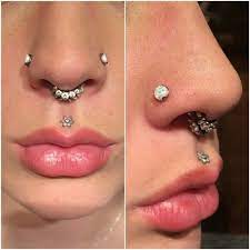 Double Nostril Double Septum And Medusa Cc Earings Piercings Facial Piercings Piercings
