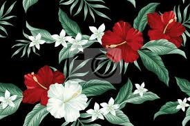 Check spelling or type a new query. Tropical Hawaiian Vintage Flower Red Hibiscus And White Plumeria Wall Stickers Botanical Bright Colourful Myloview Com