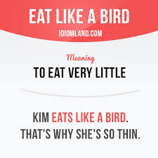 Hello Are You Having Lunch At This Moment Have You Ever Been Told That You Eat Like A Bird Or It English Vocabulary Words English Phrases English Idioms