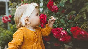 Maybe you would like to learn more about one of these? The Most Fragrant Flowers For Your Garden Simplemost