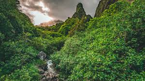 Image result for Dark Forest Green 1986 Fleet