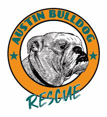 As an all volunteer rescue organization, we are always in need of dependable, compassionate and committed volunteers. Pets For Adoption At Austin Bulldog Rescue In Austin Tx Petfinder