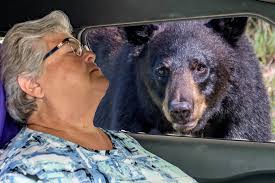 Capturing the dewy morning with sleepy eyes