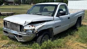 Image result for Plum 1999 Truck